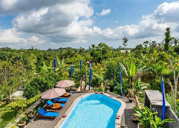 Sandan Agro Kintamani